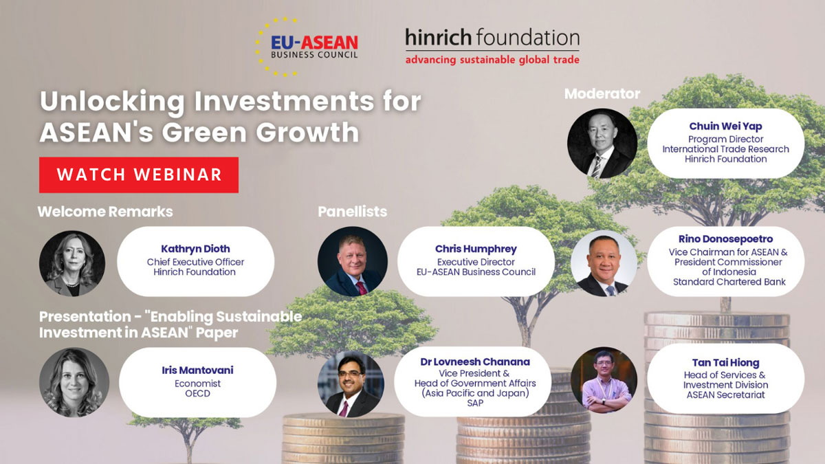 Webinar Recap Unlocking Investments For ASEAN's Green Growth