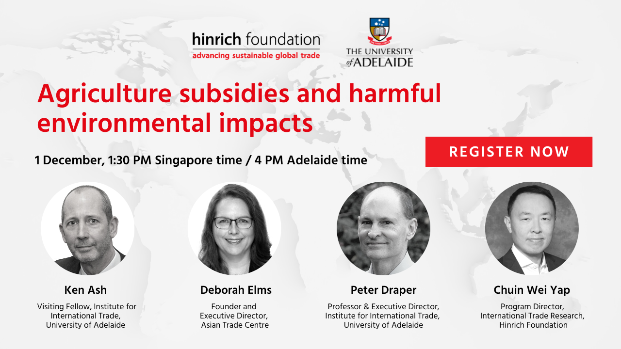 HF Webinar Impact Of Agricultural Subsidies With CTA