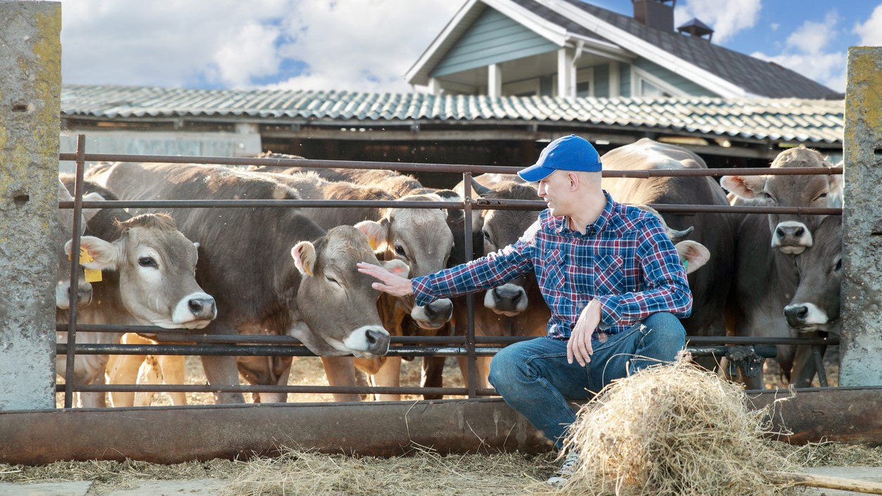 beef-exports-to-china.jpg