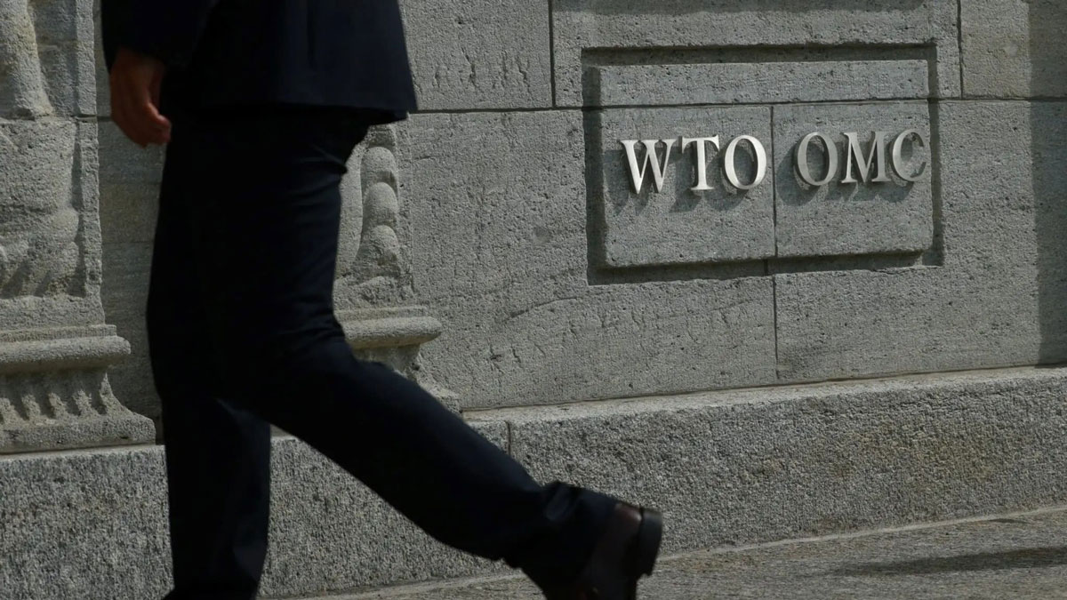 Appleton Evolution Not Devolution Of The WTO