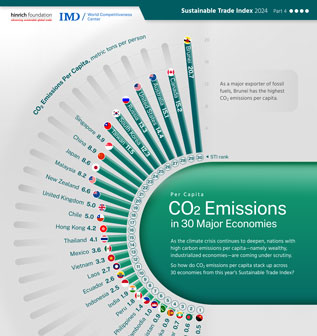 Carbon dioxide emissions: A resource wealth paradox