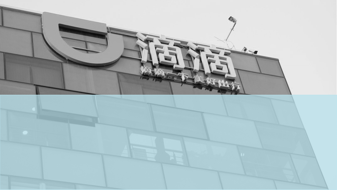 Didi (1)