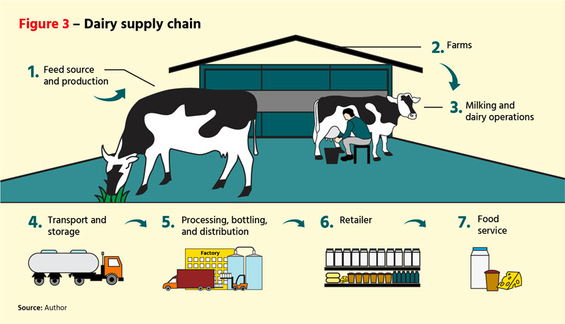 Figure 3: Dairy supply chain