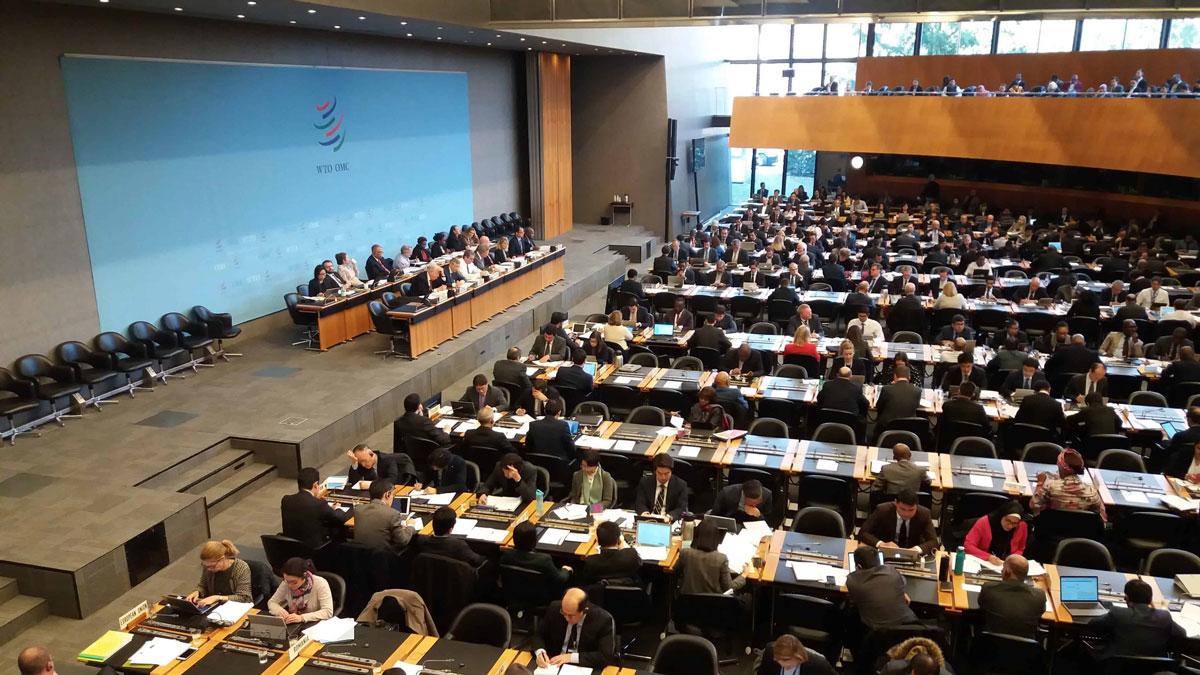 HF WTO Survey Min